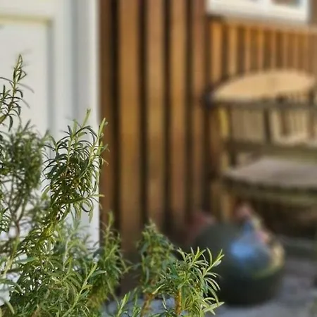 別荘 Summer House In Forest By Ulvshale National Park